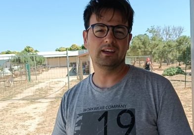 Canile comunale: un anno di attività per “Scodinzoliamo”