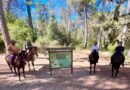 Trekking a cavallo a Mercadante il 19 ottobre