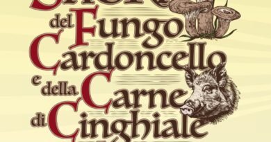“Sagra del fungo cardoncello e della carne di cinghiale”