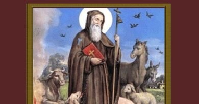 Sabato 17 gennaio la benedizione degli animali