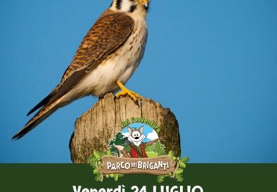 Fauna selvatica, venerdì 24 luglio il rilascio in natura al Parco dei Briganti