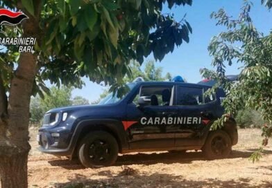 Lavoro nero: i Carabinieri Forestali di Cassano arrestano imprenditore a Sannicandro