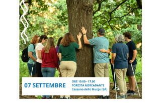 I mini tour di L’A.L.V.E.A.R.E.: a Cassano “Il canto degli alberi”