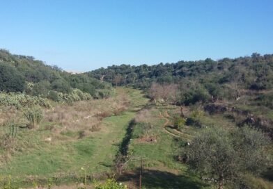 Lama “Picone” e le sue “sorelle” tra i luoghi del cuore del FAI da votare